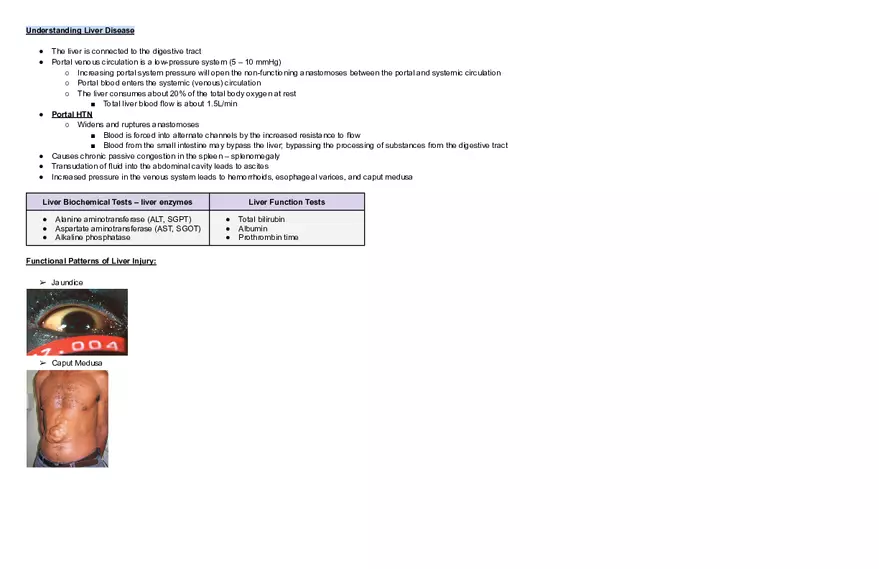 Endocrine Pathophysiology Exam - Page 1