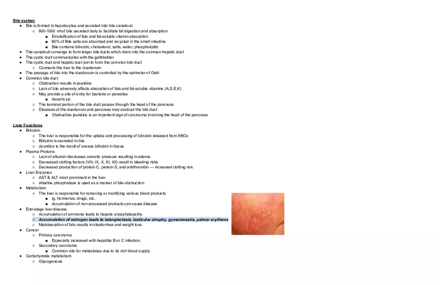 Endocrine Pathophysiology Exam - Page 2