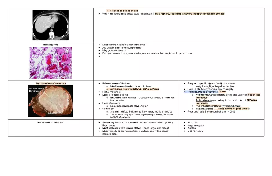 Endocrine Pathophysiology Exam - Page 4