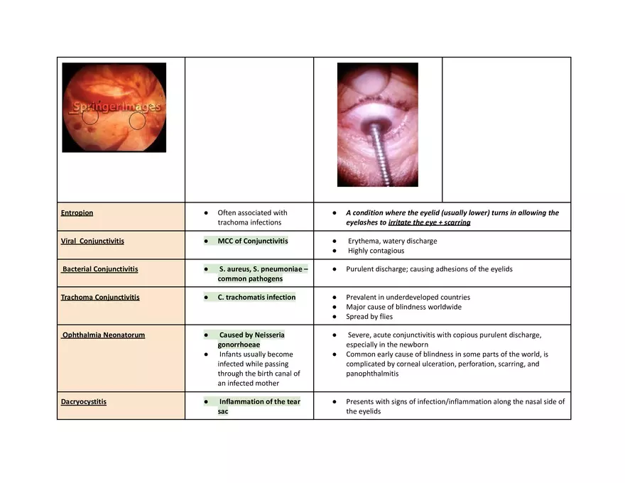 Eye Pathophys Exam - Page 12