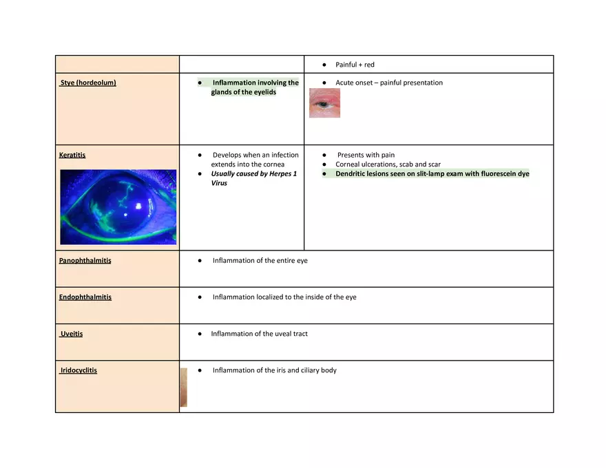 Eye Pathophys Exam - Page 13
