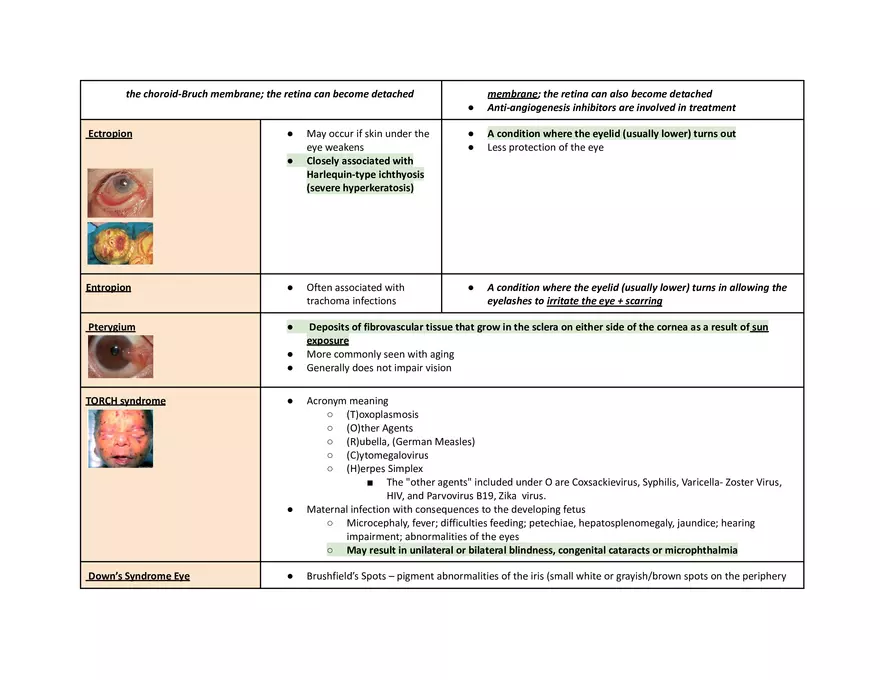 Eye Pathophys Exam - Page 2