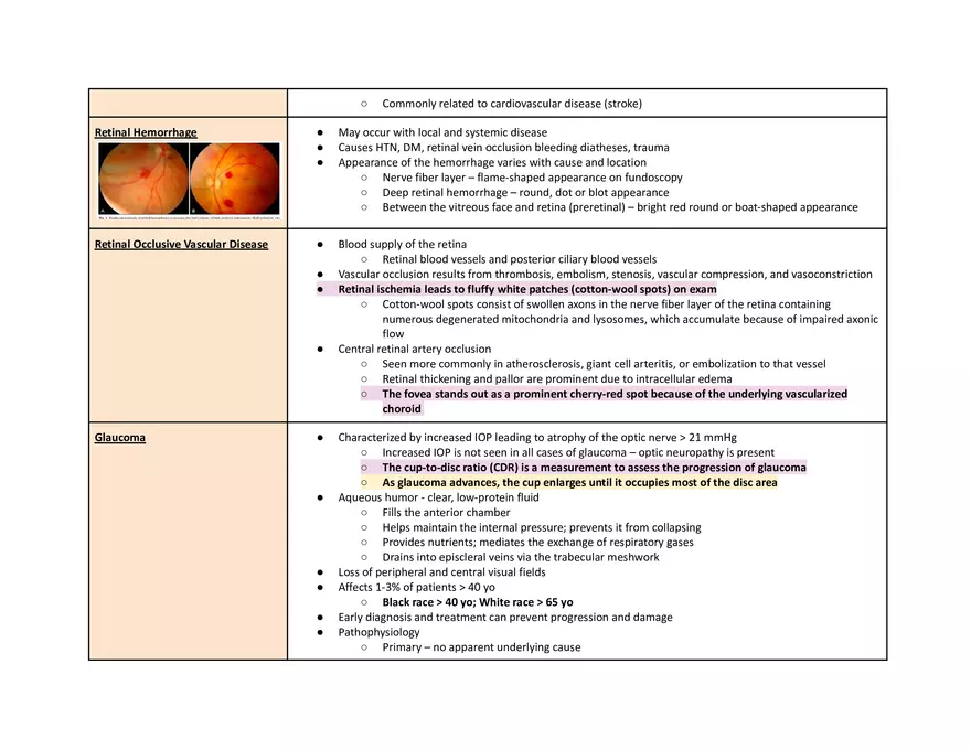 Eye Pathophys Exam - Page 3