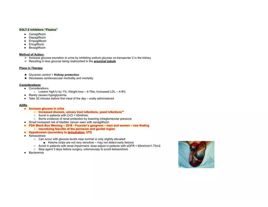 Endocrine Pharm II Exam - Page 36