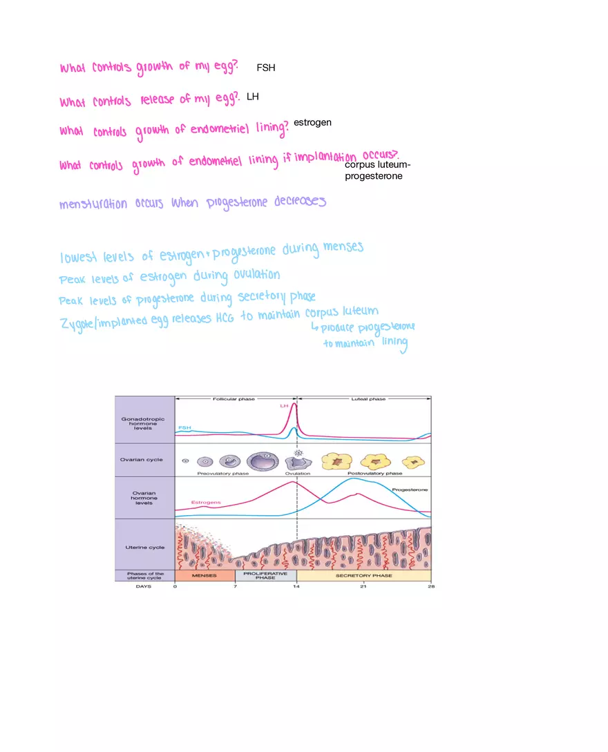 Physiology Exam Study Guide - Page 8