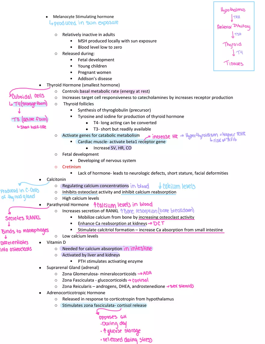 Physiology Exam Study Guide - Page 17