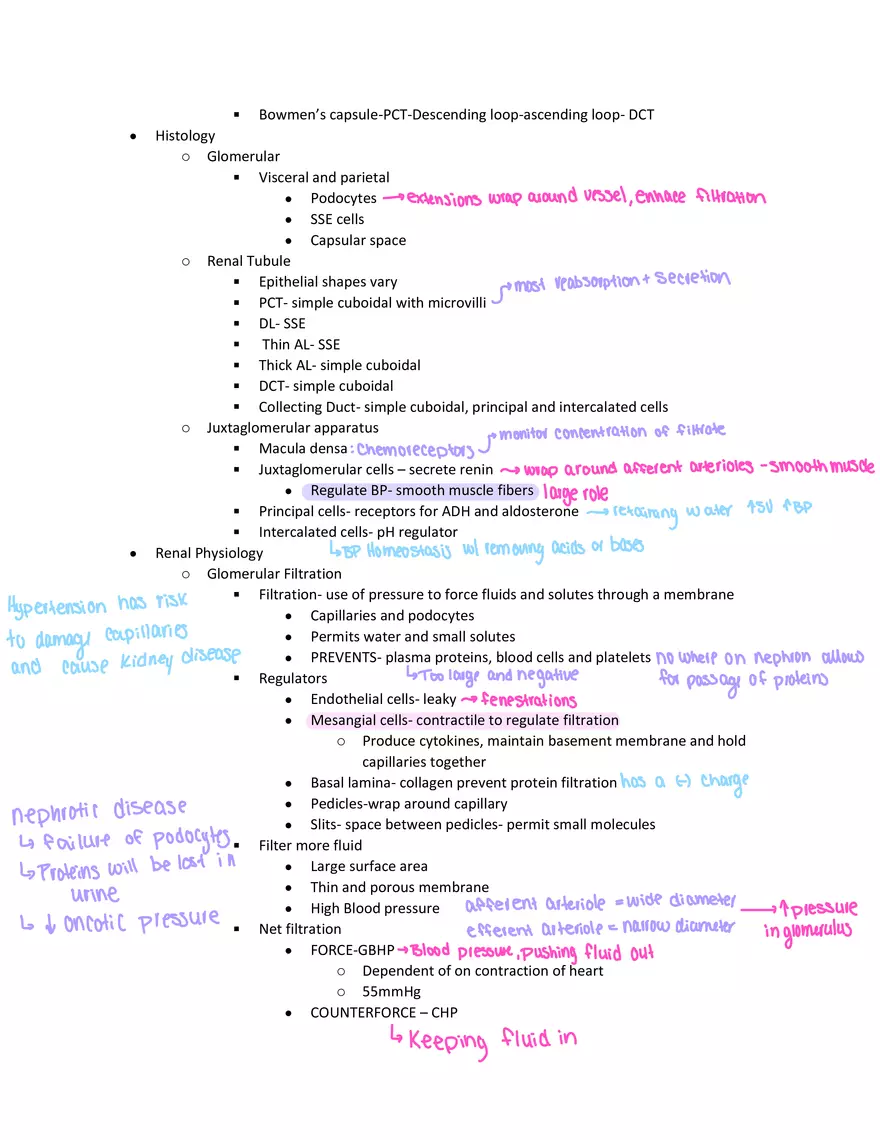 Physiology Exam Study Guide - Page 2