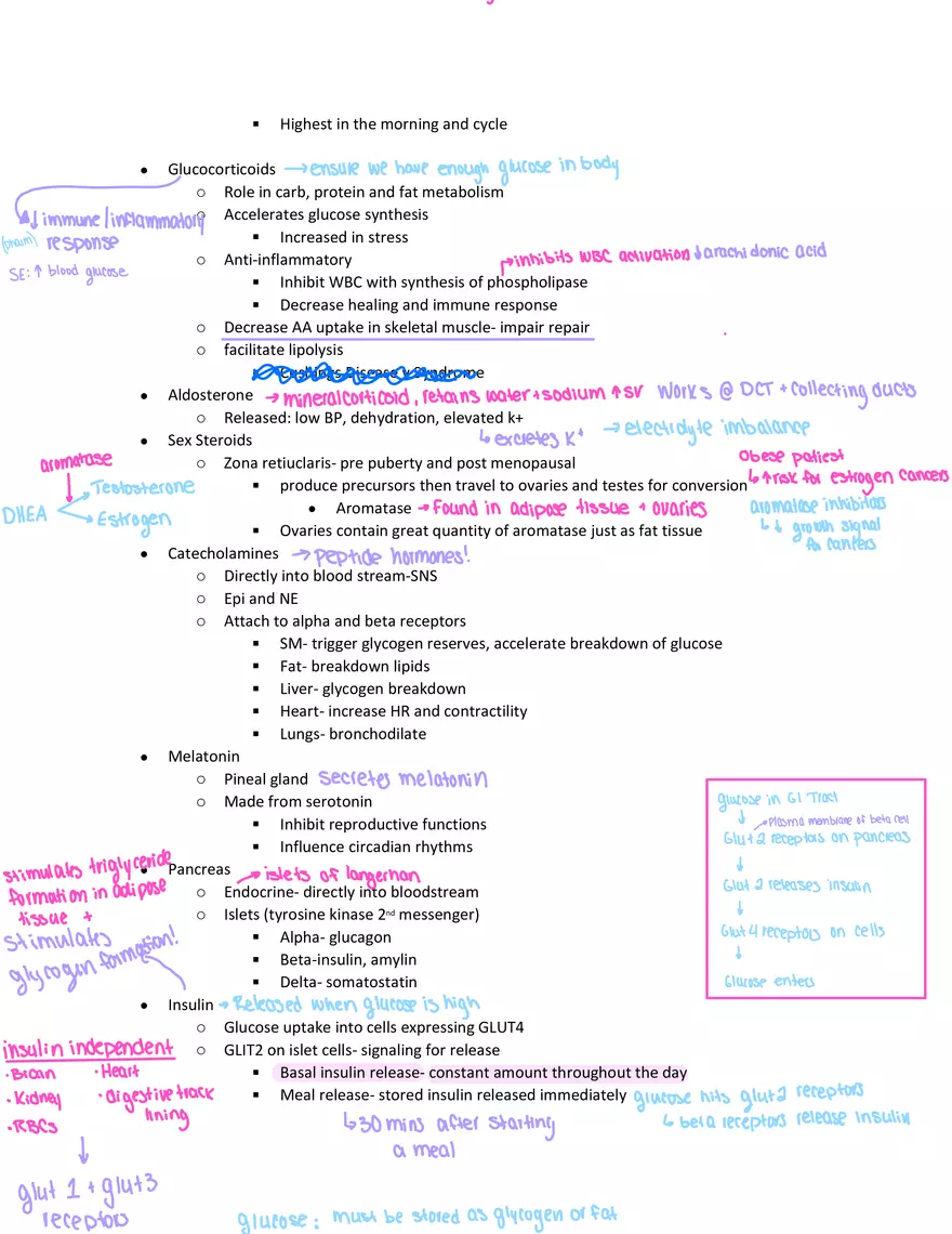 Physiology Exam Study Guide - Page 3