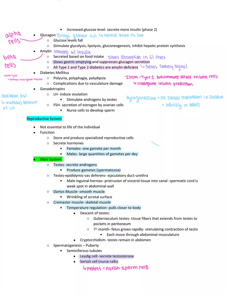 Physiology Exam Study Guide - Page 4