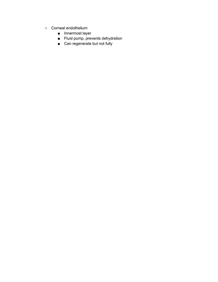 Outer Layer of the Eye - Page 3