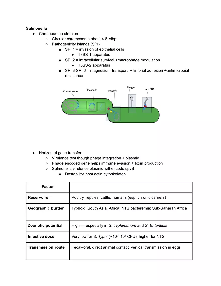 Salmonella Cheat Sheet - Page 1