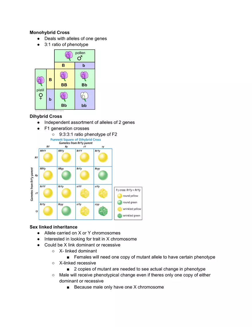 Monohybrid Cross - Page 1