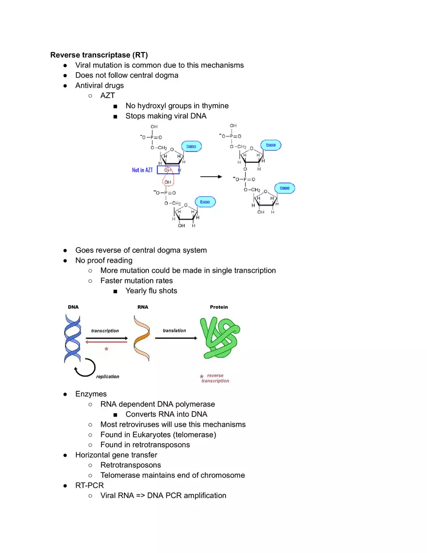 Reverse Transcriptase (RT) - Page 1