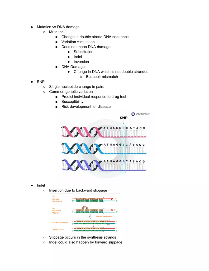 Mutation vs DNA Damage - Page 1