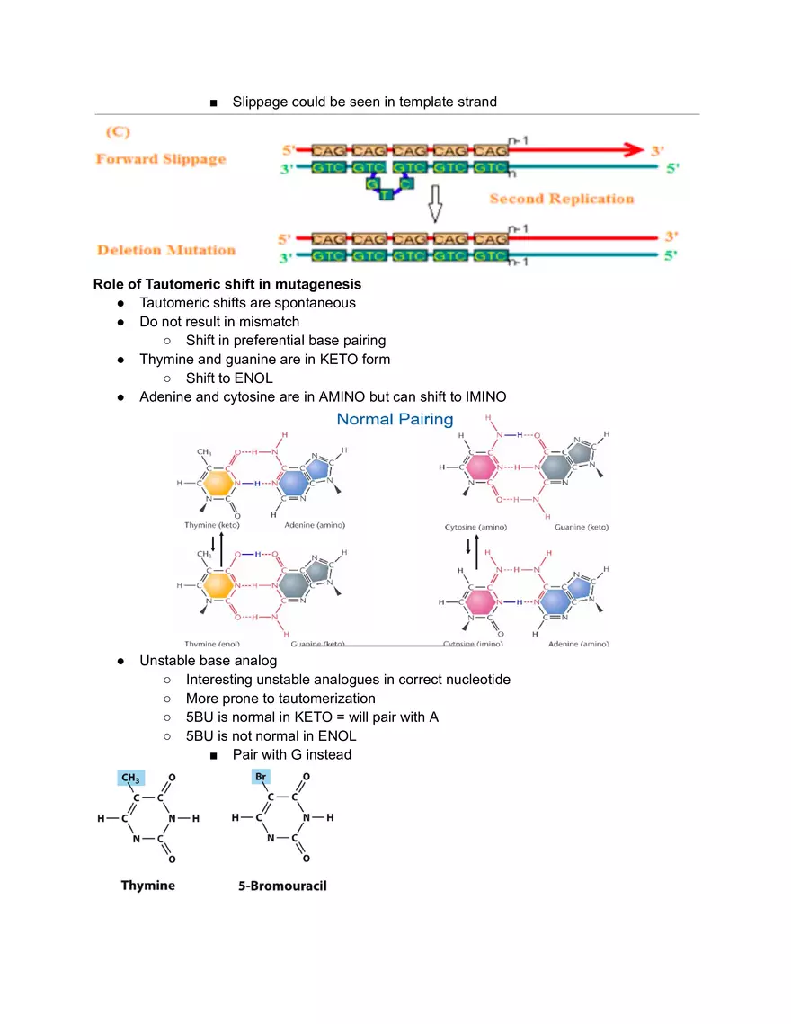 Mutation vs DNA Damage - Page 2