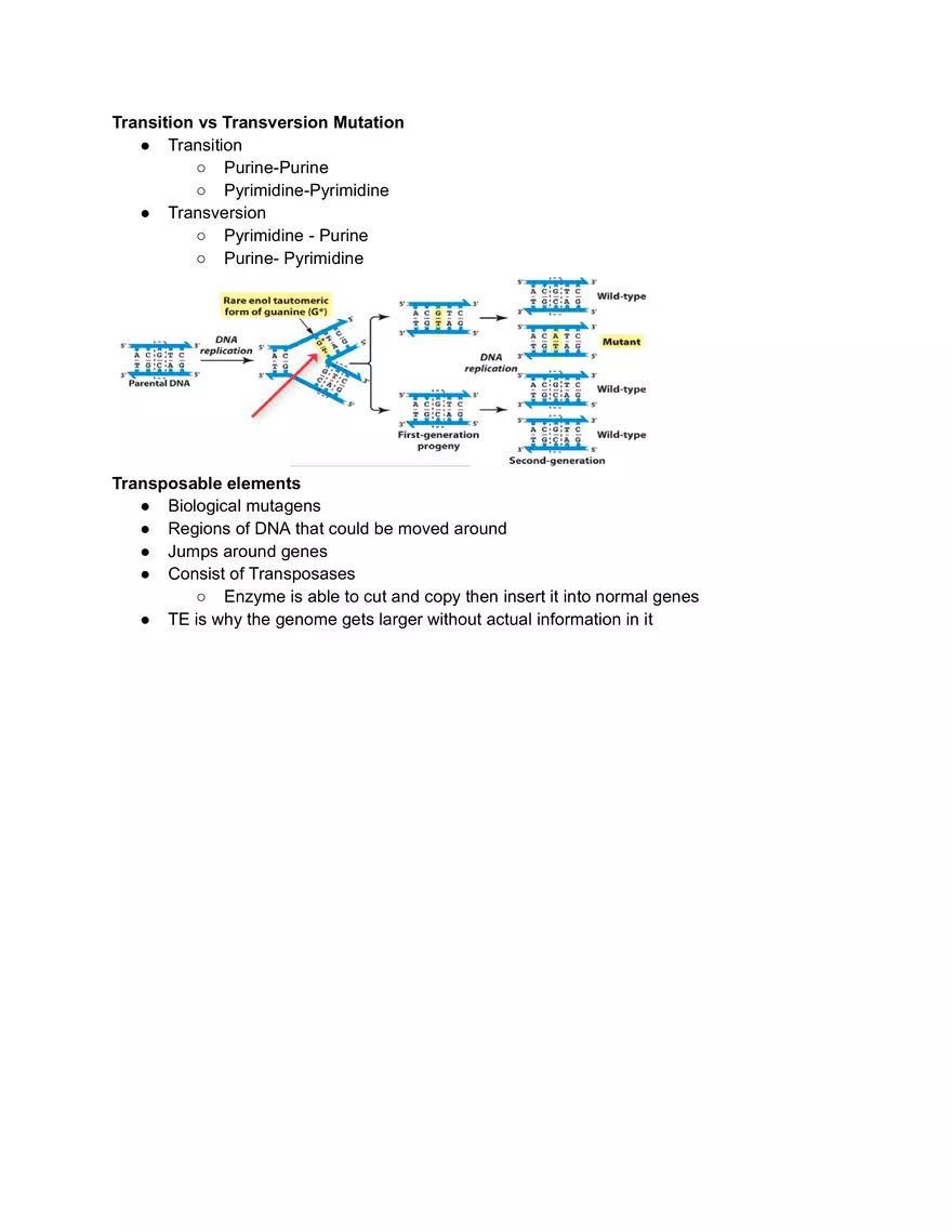 Mutation vs DNA Damage - Page 3