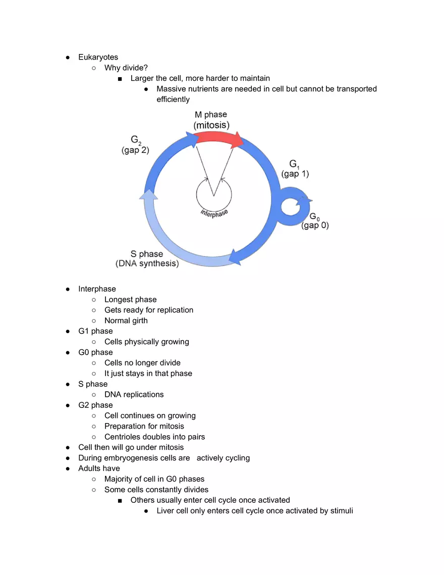 Prokaryotes vs Eukaryotes - Page 2