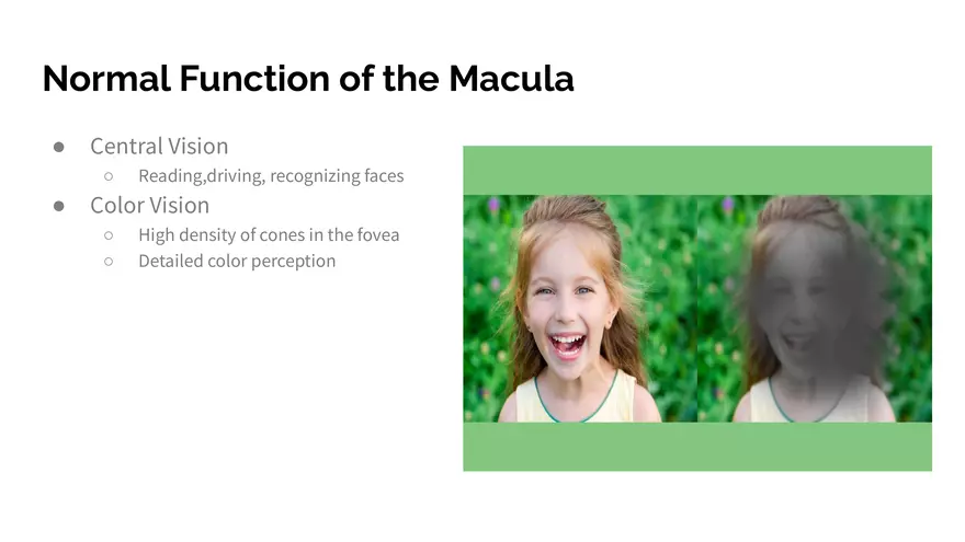 Understanding Macular Degeneration - Page 7