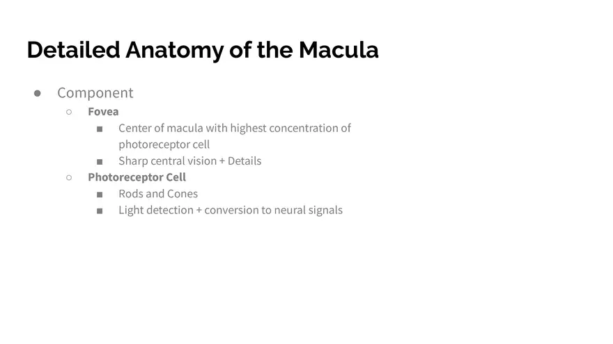 Understanding Macular Degeneration - Page 5