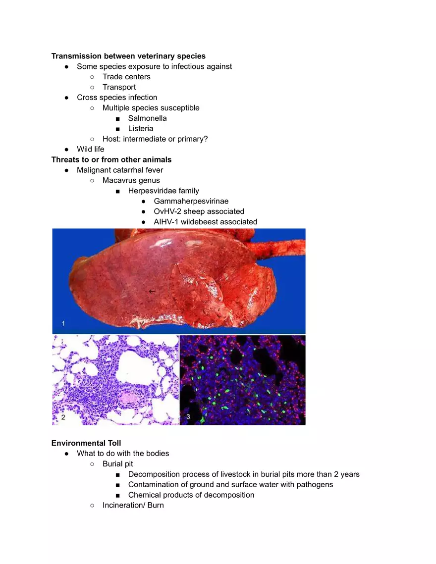 Transmission Between Veterinary Species - Page 1