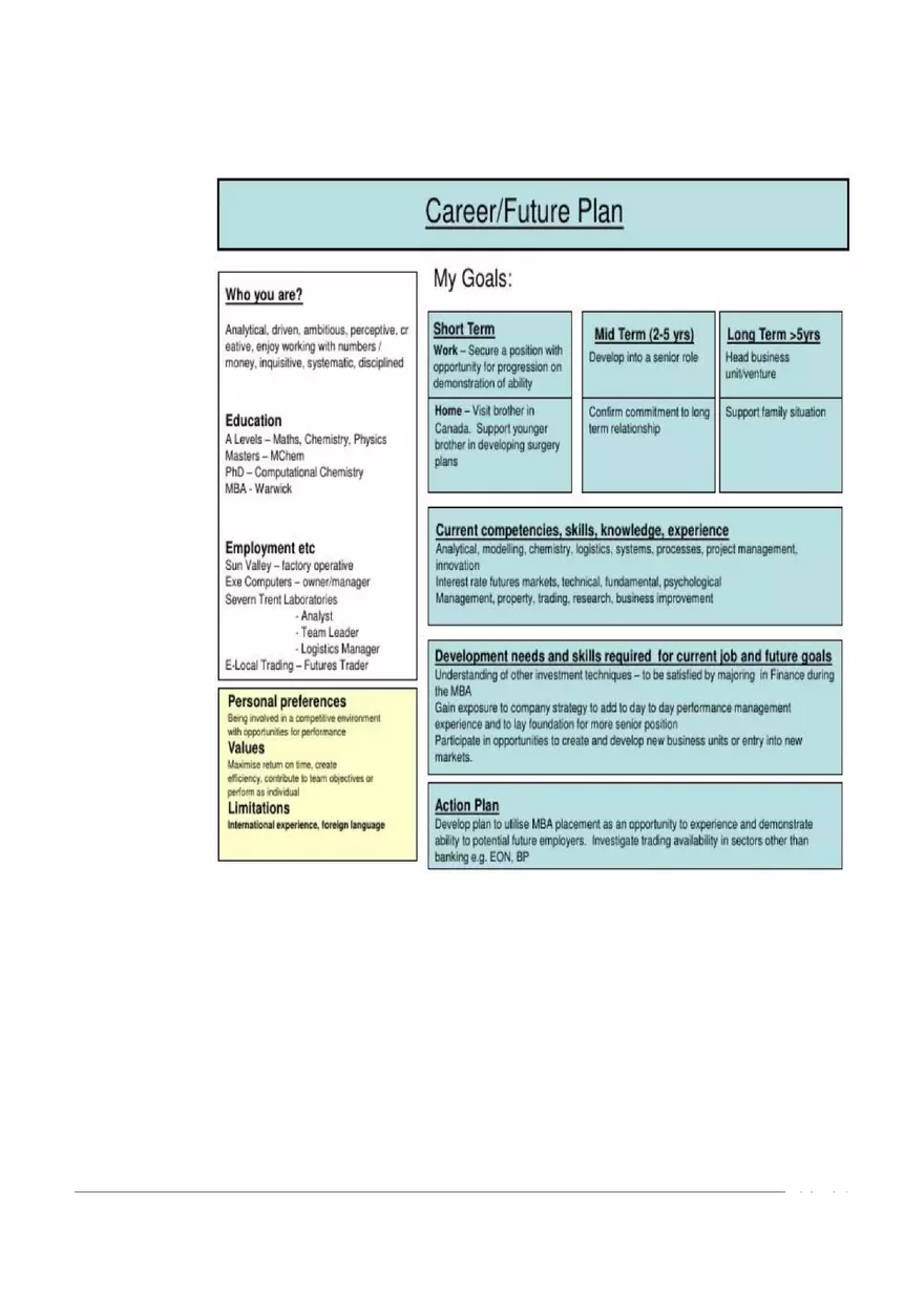 Career Plan Template - Page 5