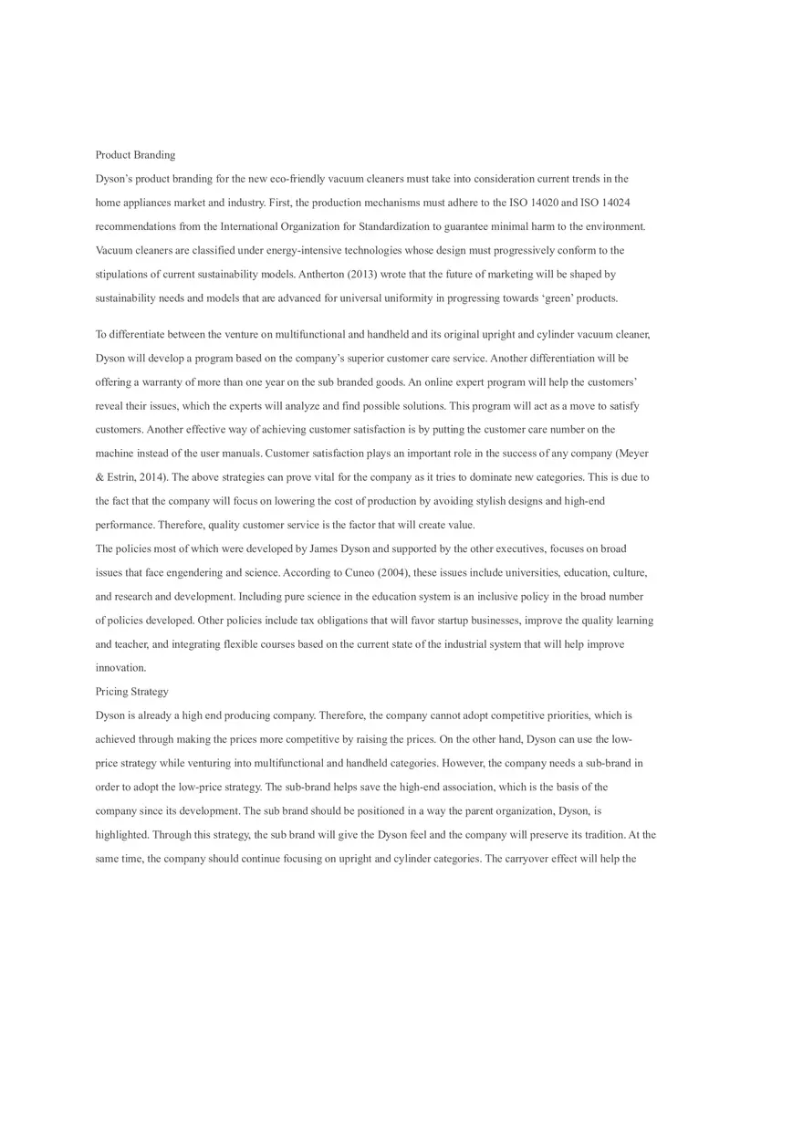 Dyson Market Plan - Page 4