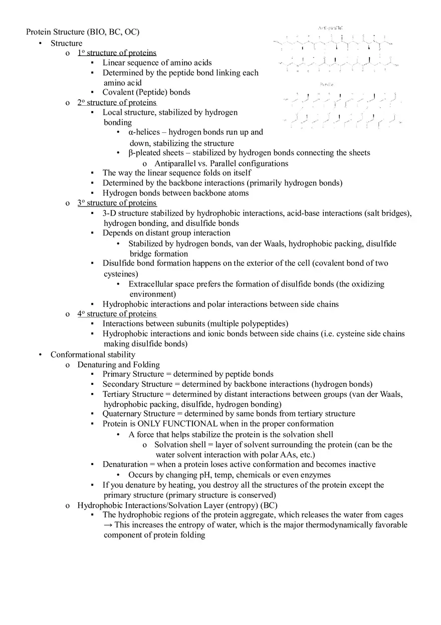 Structure and Function of Proteins - Page 2
