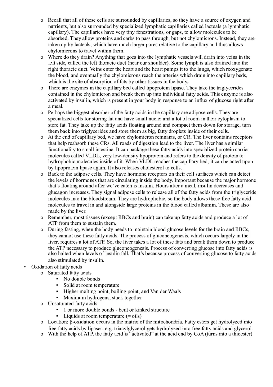 Principles of Bioenergetics - Page 3