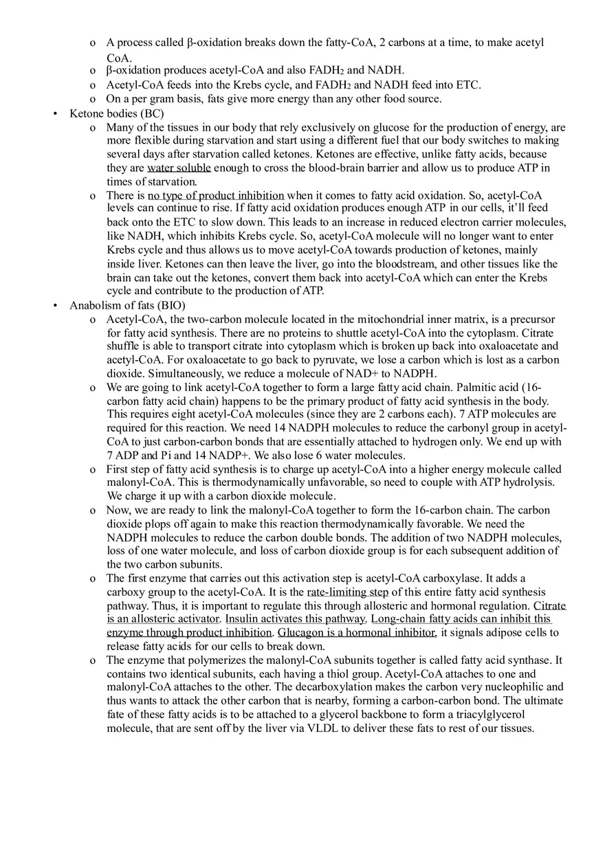 Principles of Bioenergetics - Page 4