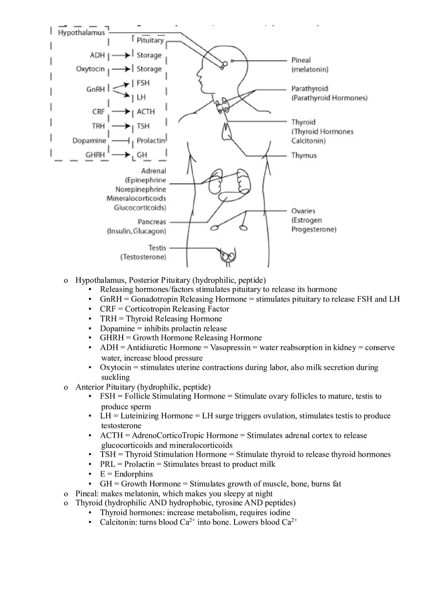 Structure and Functions of the Nervous and Endocrine Systems - Page 9