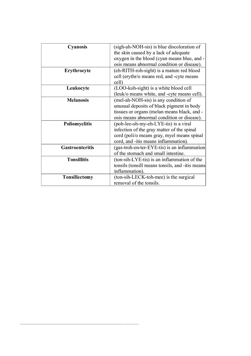 Medical Terminology for Clinical Decision Making (Cheat Sheet) - Page 3