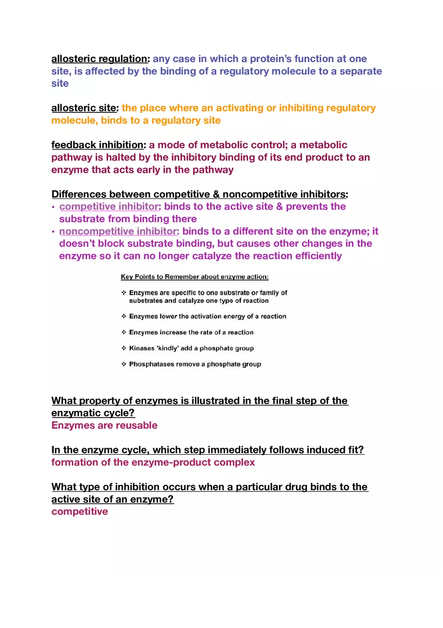 Amino Acids, Peptide Bonds and Protein Structure Study Guide 2 - Page 2