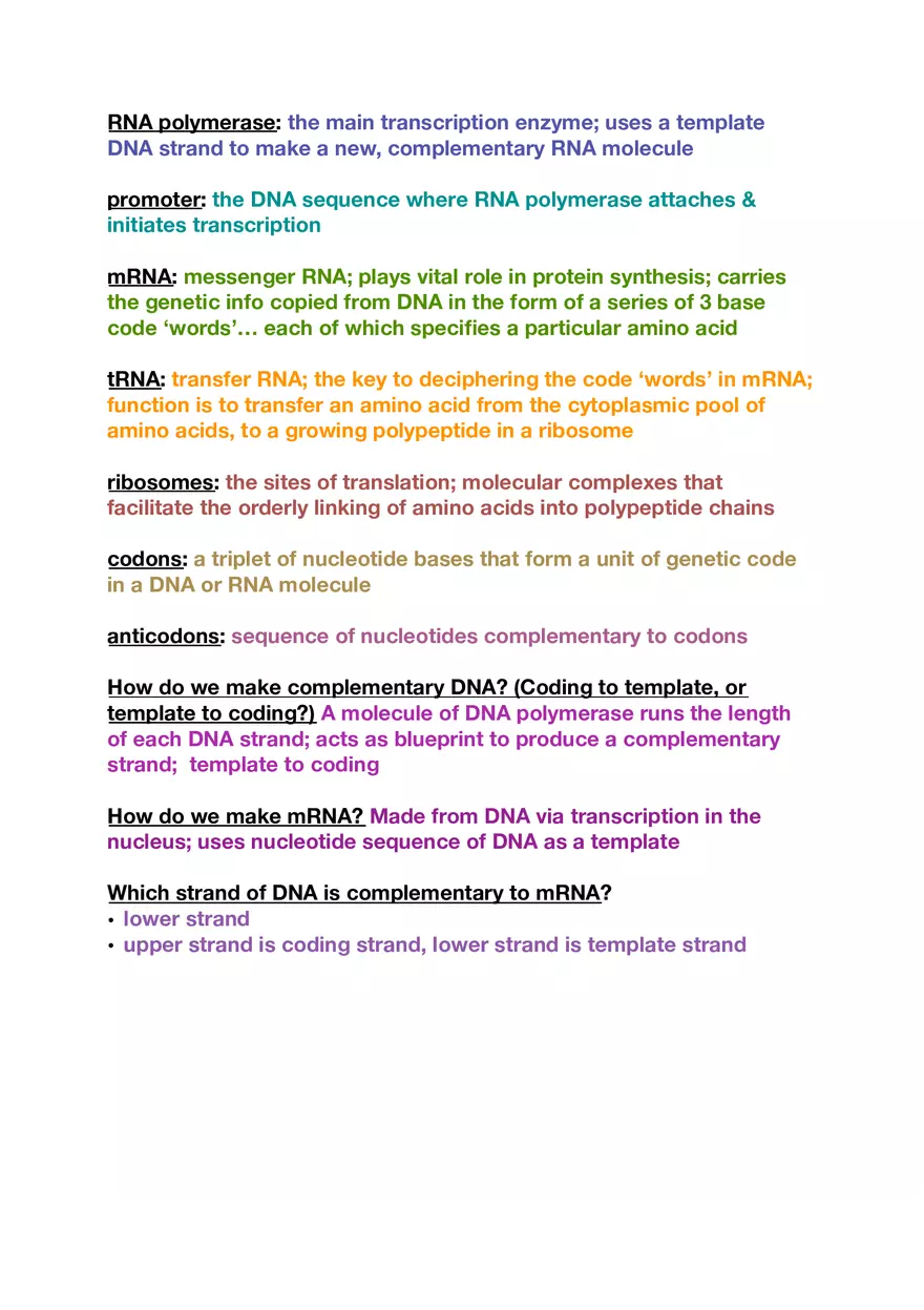 Amino Acids, Peptide Bonds and Protein Structure Study Guide 2 - Page 6