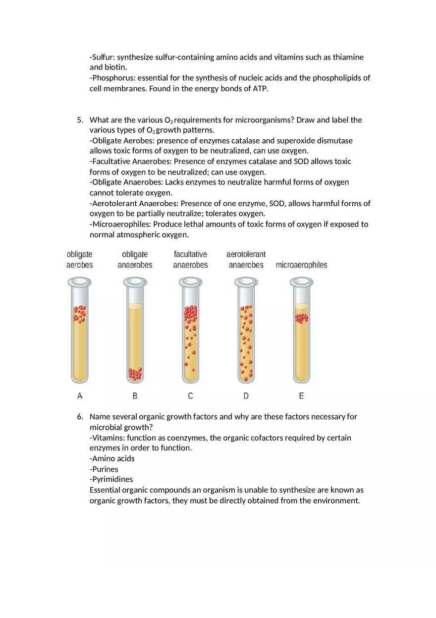 Microbiology Exam 2 Study Guide - Page 2