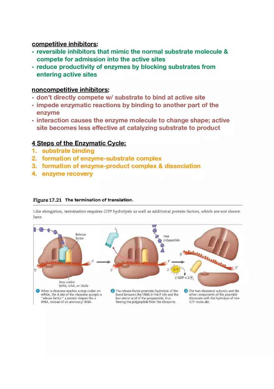Amino Acids, Peptide Bonds and Protein Structure Study Guide 1 - Page 10