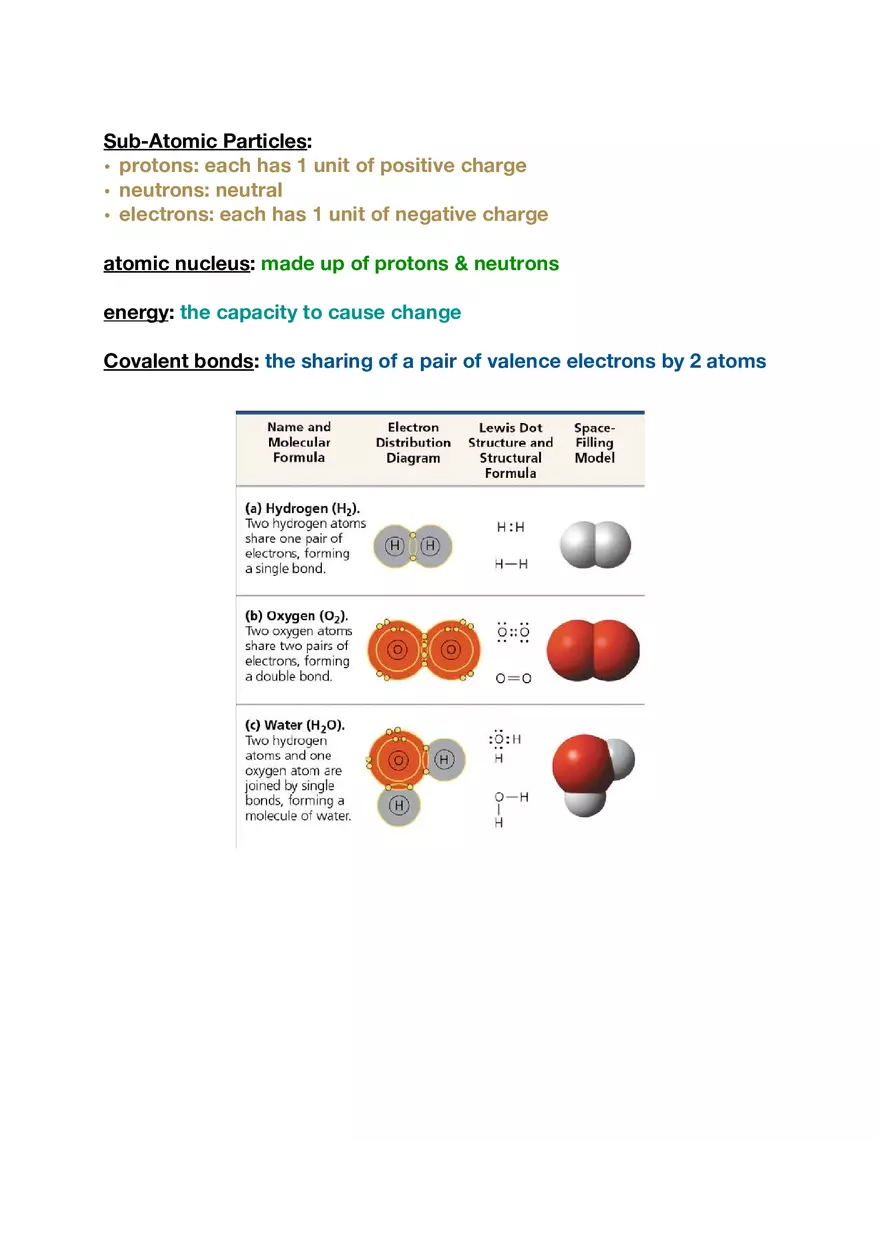 Amino Acids, Peptide Bonds and Protein Structure Study Guide 1 - Page 2