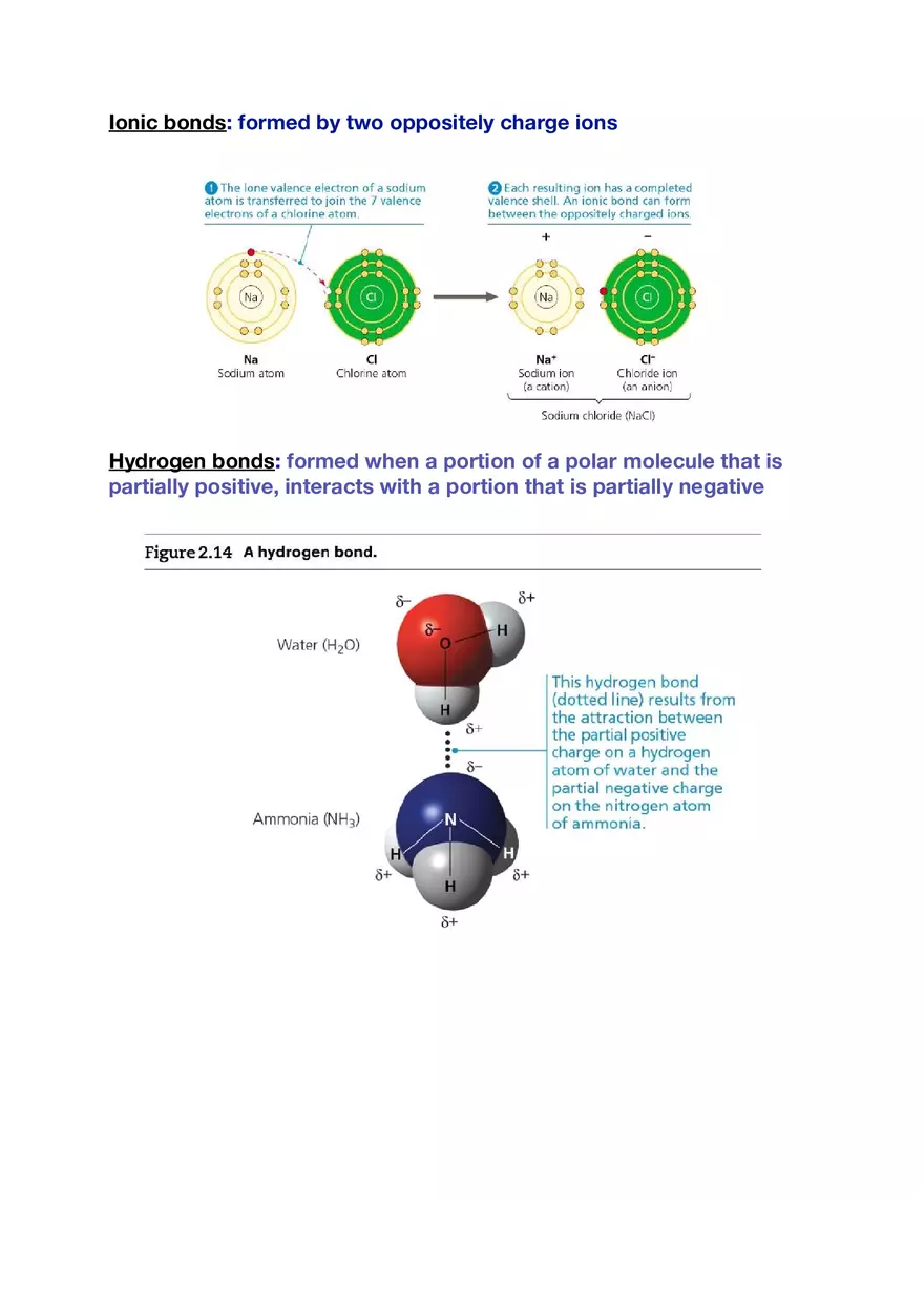 Amino Acids, Peptide Bonds and Protein Structure Study Guide 1 - Page 3