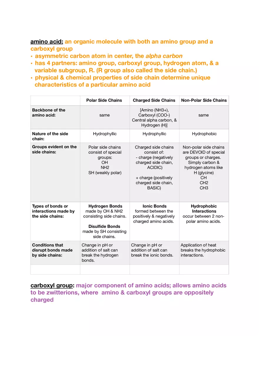 Amino Acids, Peptide Bonds and Protein Structure Study Guide 1 - Page 4