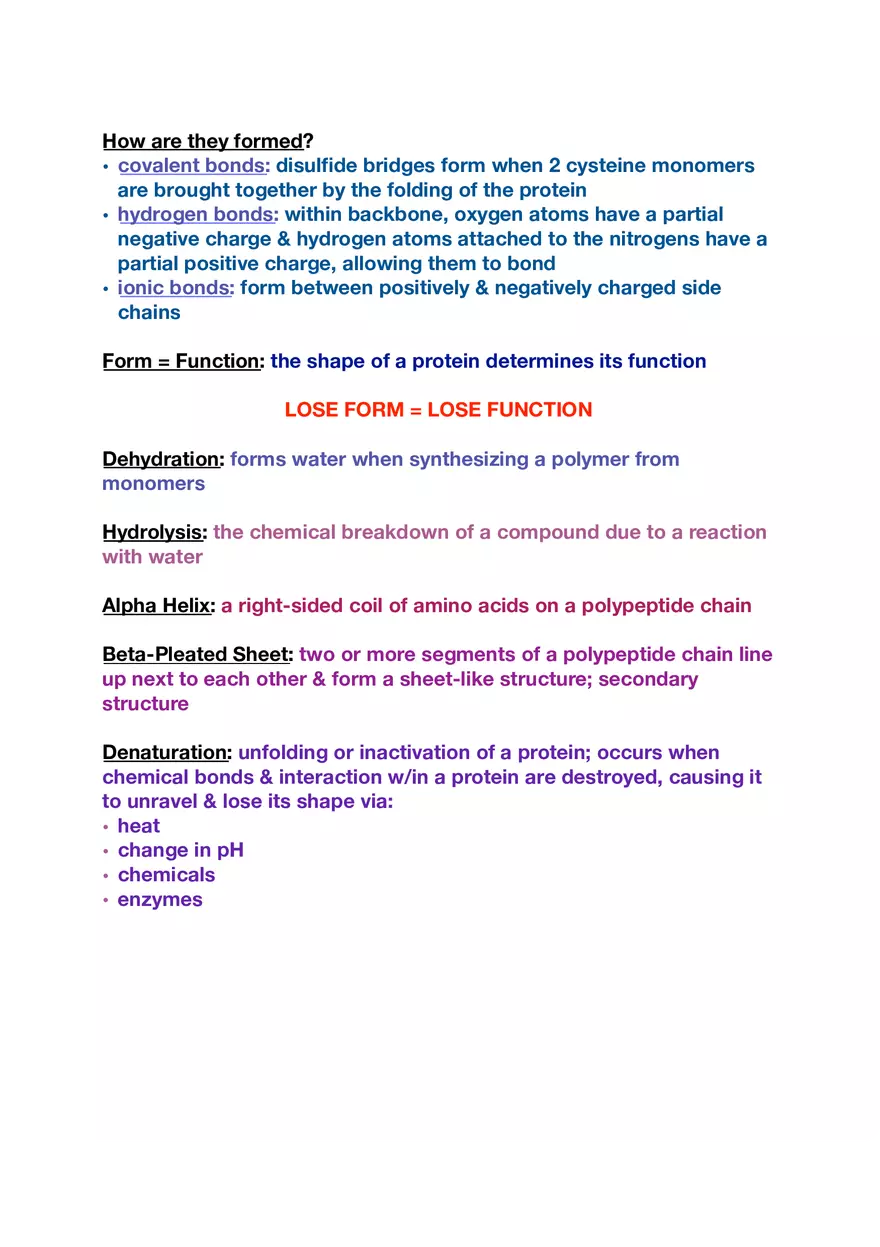 Amino Acids, Peptide Bonds and Protein Structure Study Guide 1 - Page 6
