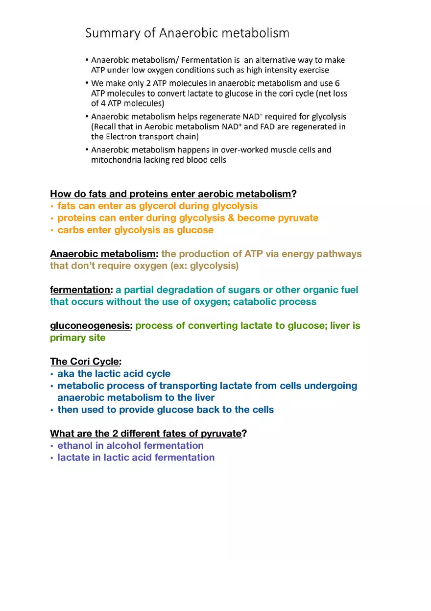 Amino Acids, Peptide Bonds and Protein Structure Study Guide 4 - Page 7
