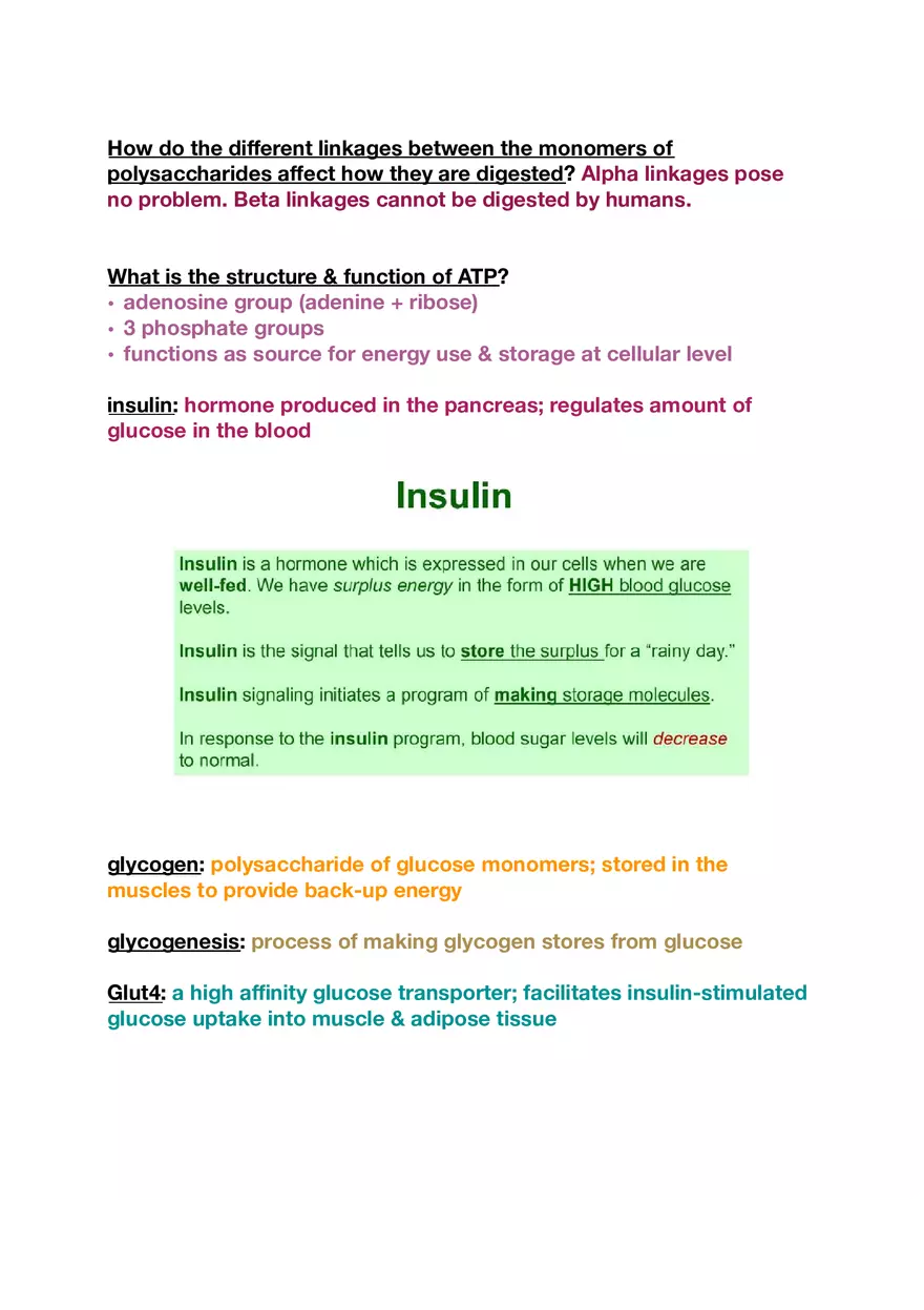 Amino Acids, Peptide Bonds and Protein Structure Study Guide 4 - Page 1