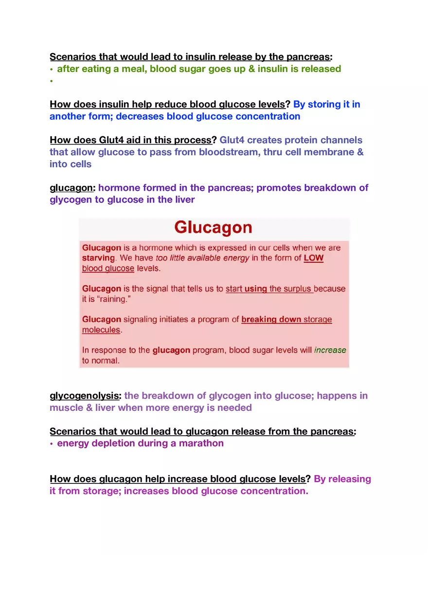 Amino Acids, Peptide Bonds and Protein Structure Study Guide 4 - Page 2