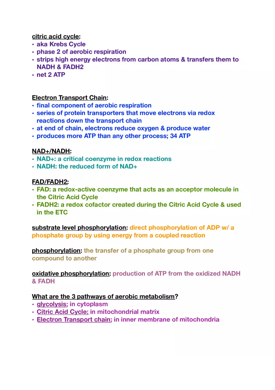 Amino Acids, Peptide Bonds and Protein Structure Study Guide 4 - Page 4