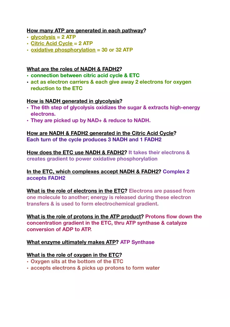 Amino Acids, Peptide Bonds and Protein Structure Study Guide 4 - Page 6