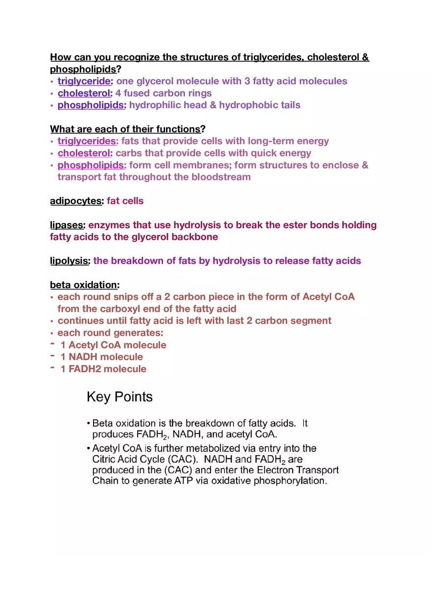 Amino Acids, Peptide Bonds and Protein Structure Study Guide 5 - Page 7