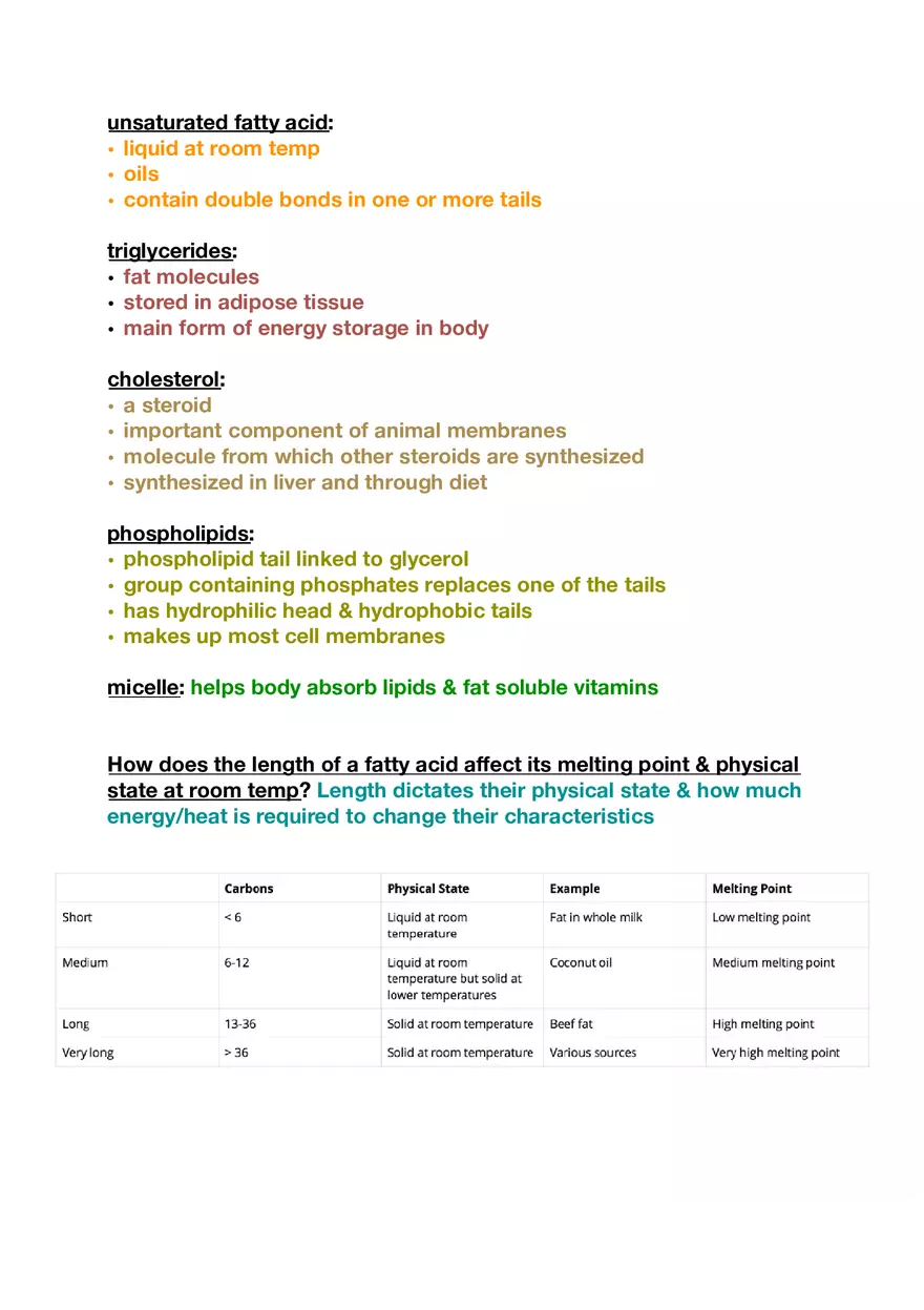 Amino Acids, Peptide Bonds and Protein Structure Study Guide 5 - Page 5