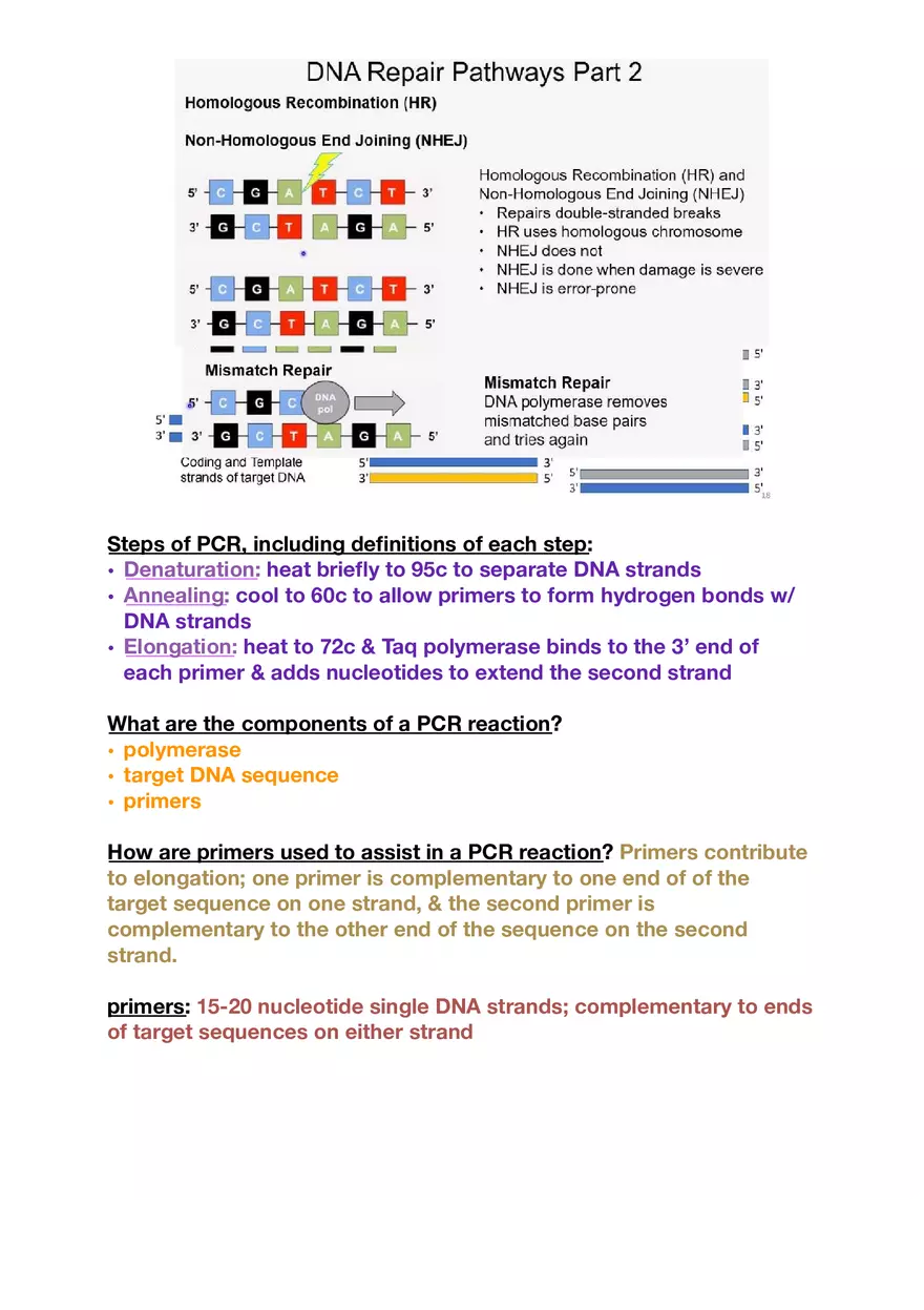 Amino Acids, Peptide Bonds and Protein Structure Study Guide 3 - Page 1