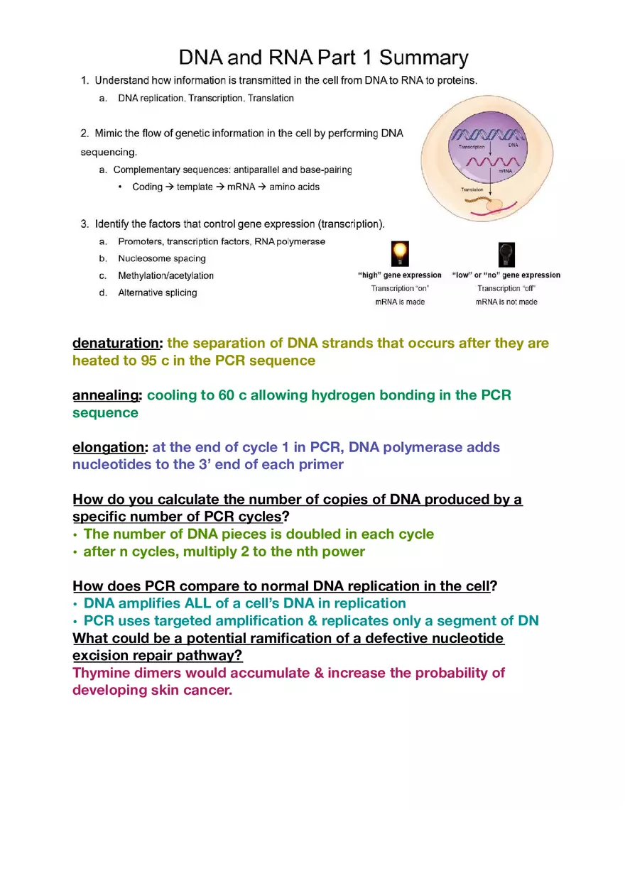 Amino Acids, Peptide Bonds and Protein Structure Study Guide 3 - Page 2