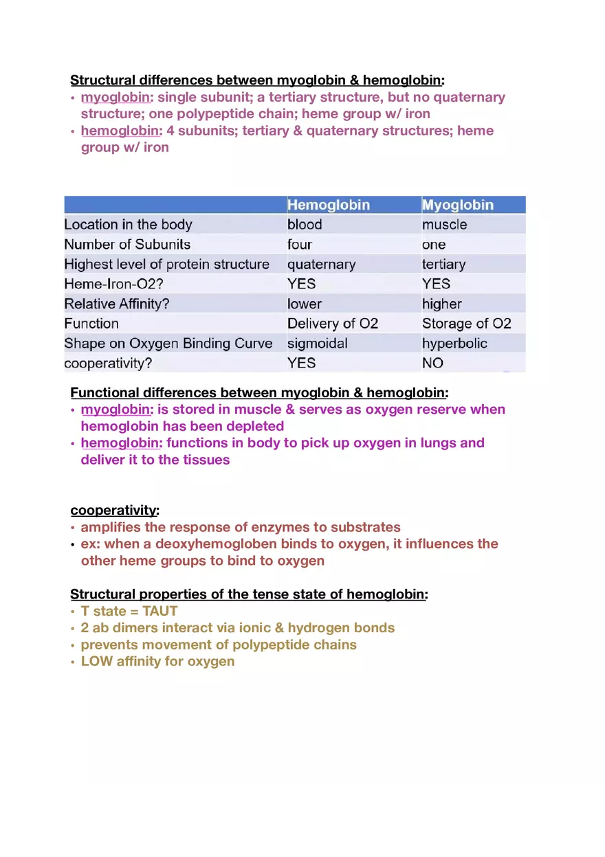 Amino Acids, Peptide Bonds and Protein Structure Study Guide 3 - Page 4