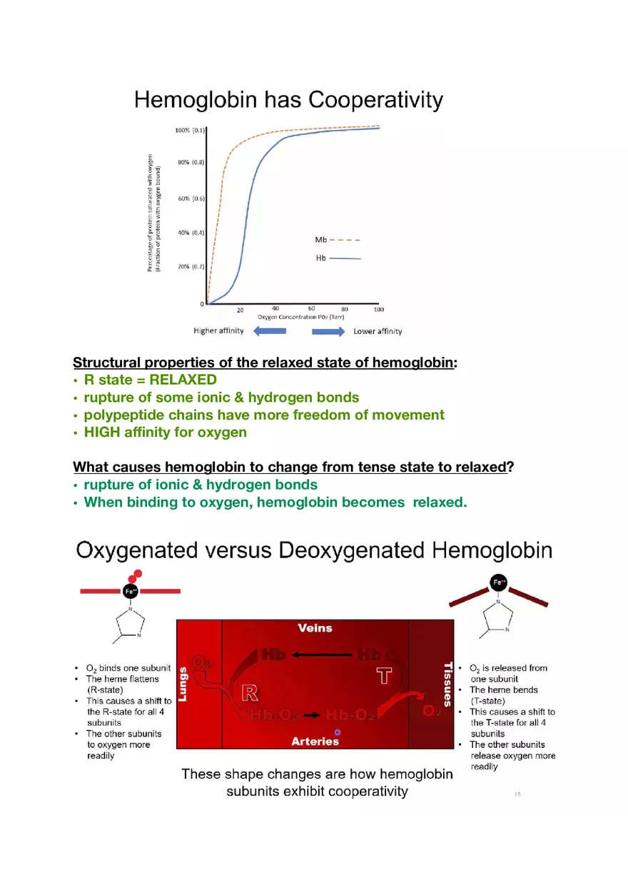 Amino Acids, Peptide Bonds and Protein Structure Study Guide 3 - Page 5